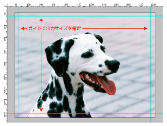 �o�͗̈�F���