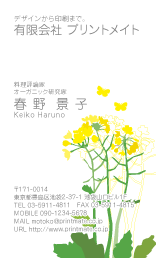 デザイン名刺（春・菜の花）DT-FS-105