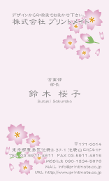 デザイン名刺（春・桜のイラスト２）DT-FS-508
