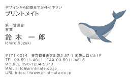 デザイン名刺（ザトウクジラ１）DY-AN-201