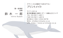 デザイン名刺（ザトウクジラ６）DY-AN-206
