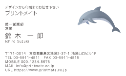 デザイン名刺（イルカ１）DY-AN-213