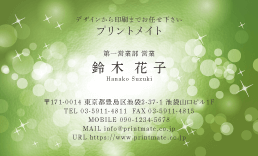 fUChEF肢EJ[ff̃ev[giI[SjDY-FT-008