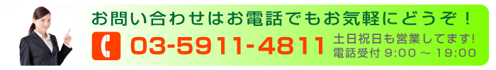 そのまま使える文例集 挨拶状 案内状 招待状 お礼状 祝賀状 お見舞い状など