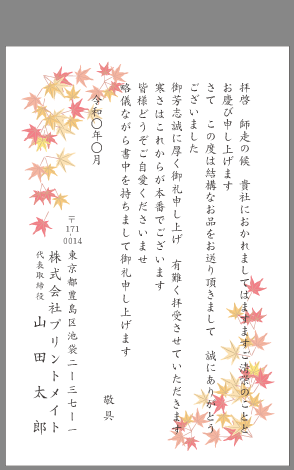 ビジネスお礼状 お中元 お歳暮 文例とポイント １枚 即日印刷プリントメイト