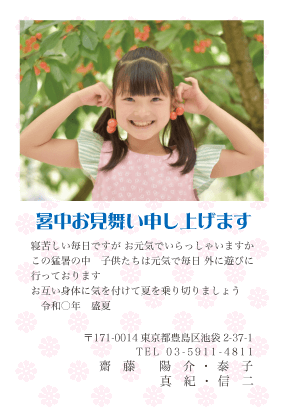 暑中見舞い・残暑見舞いはがき写真デザイン見本(花雪紋)