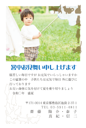 暑中見舞い・残暑見舞いはがき写真デザイン見本(ねこ)